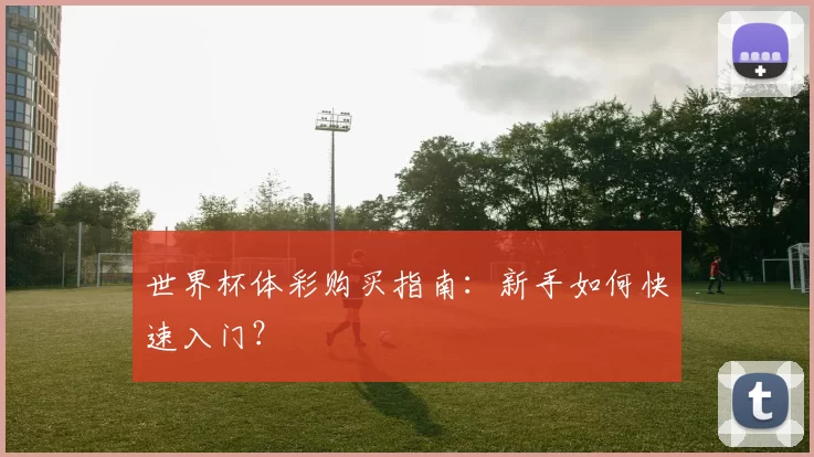 世界杯体彩购买指南：新手如何快速入门？