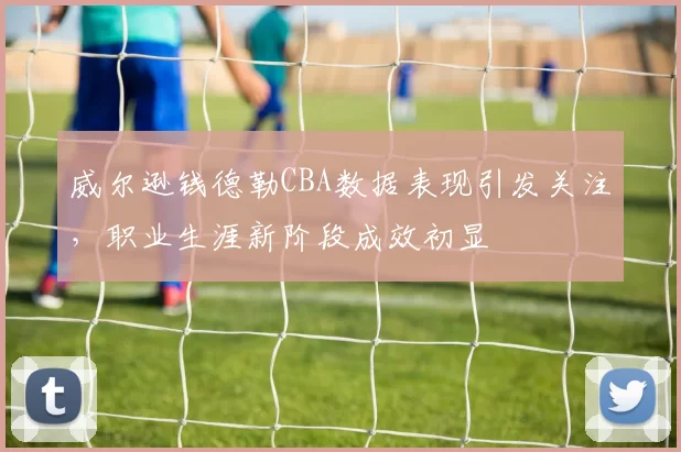 威尔逊钱德勒CBA数据表现引发关注，职业生涯新阶段成效初显