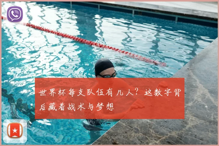 世界杯每支队伍有几人？这数字背后藏着战术与梦想