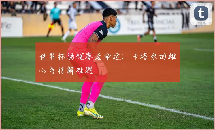 世界杯场馆赛后命运：卡塔尔的雄心与待解难题