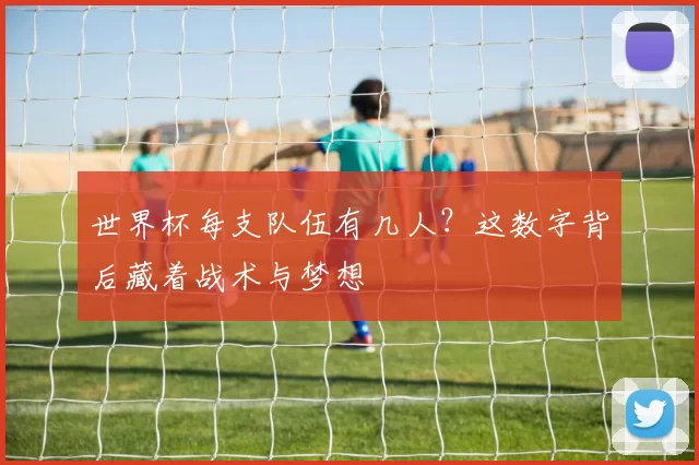 世界杯每支队伍有几人？这数字背后藏着战术与梦想