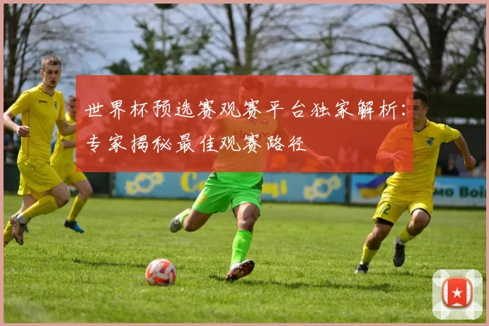 世界杯预选赛观赛平台独家解析：专家揭秘最佳观赛路径