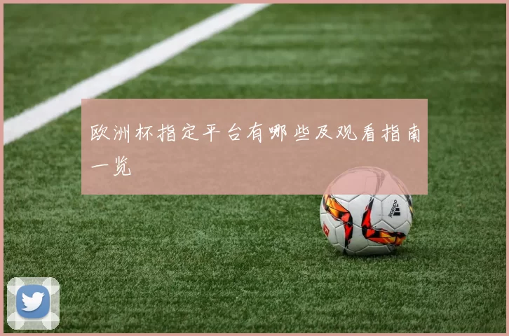 欧洲杯指定平台有哪些及观看指南一览