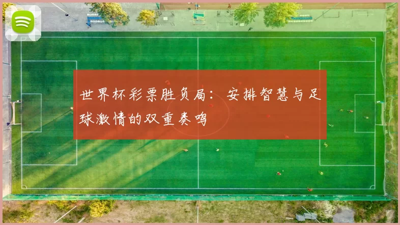 世界杯彩票胜负局：安排智慧与足球激情的双重奏鸣
