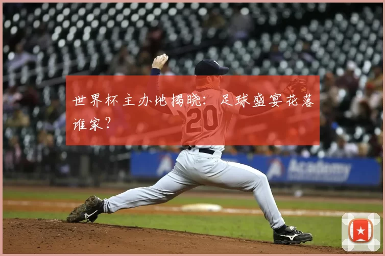 世界杯主办地揭晓：足球盛宴花落谁家？