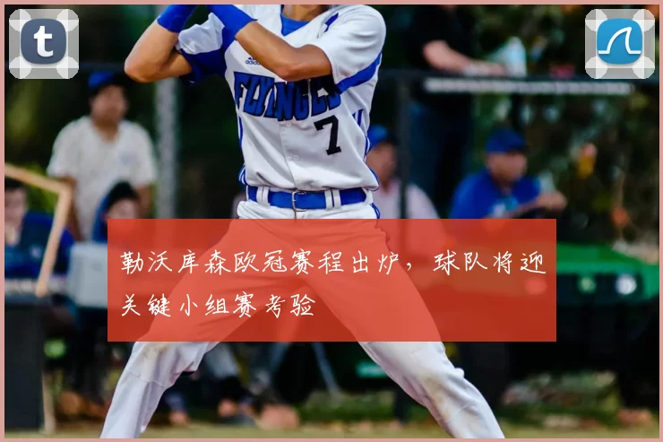 勒沃库森欧冠赛程出炉，球队将迎关键小组赛考验