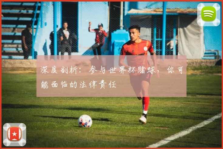 深度剖析：参与世界杯赌球，你可能面临的法律责任