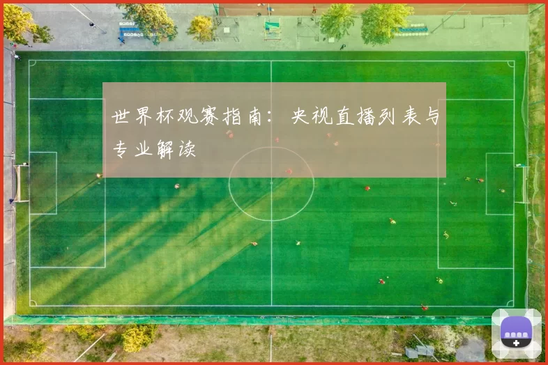 世界杯观赛指南：央视直播列表与专业解读