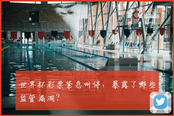世界杯彩票紧急叫停，暴露了哪些监管漏洞？
