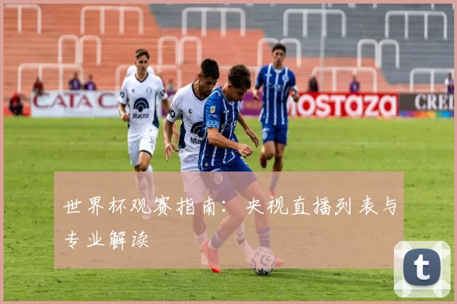 世界杯观赛指南：央视直播列表与专业解读