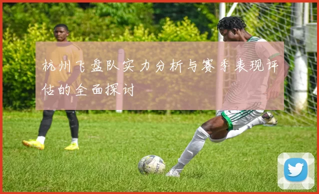 杭州飞盘队实力分析与赛季表现评估的全面探讨
