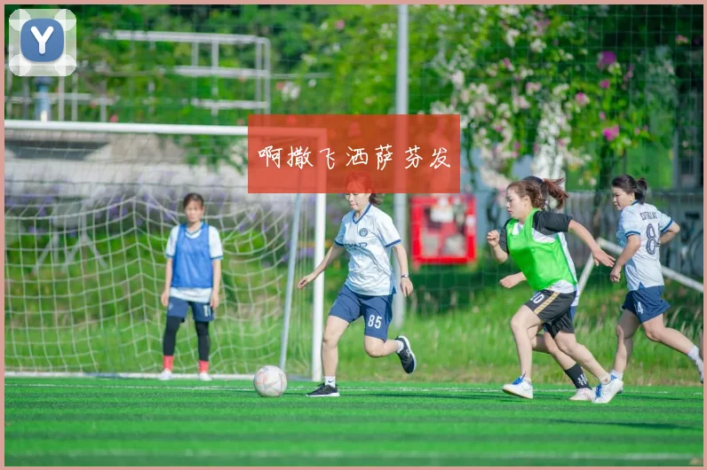 成都篮球队状态火热领跑最新篮球状态TOP10榜单分析与展望