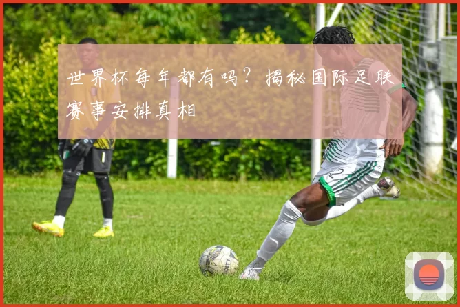 世界杯每年都有吗？揭秘国际足联赛事安排真相