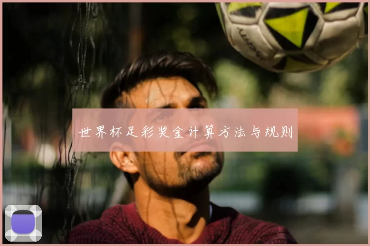 世界杯足彩奖金计算方法与规则